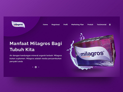 Maligos Web design ui web