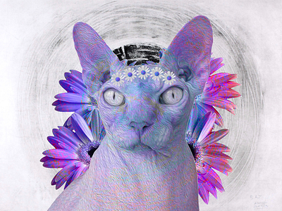 ✨ Queen ✨ art cat collage collage art composition photoshop