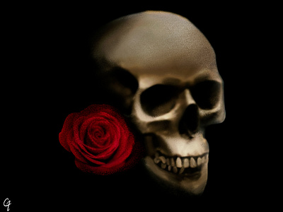 Skull and Rose abstract design illustration photoshop skull