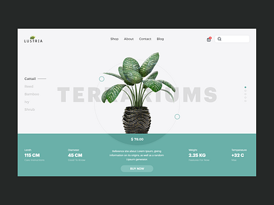 Plant Store Landing Page adobe xd creative cretive ecommerce flower garding landingpage photoshop planets plant planting shopping shopping cart uiux vector web web apps webdesign website