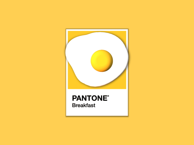 Pantone Color - Breakfast animate breakfast color egg fried egg gif illustration loop pantone spatula yellow