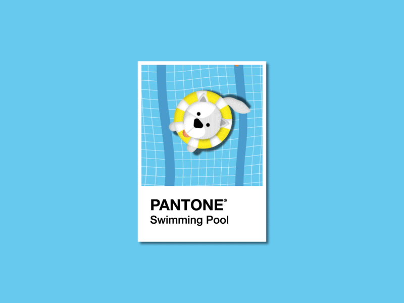 Pantone Color - Swimming Pool blue cat color dog gif illustration loop pantone pool swim