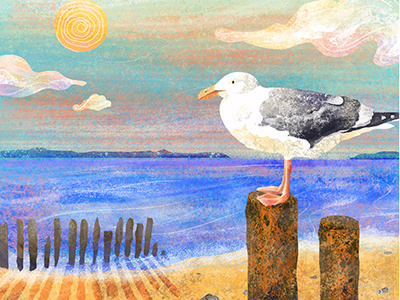 UK Heatwave beach bird character design gull heatwave illustration pastel colours seagull seascape sun texture