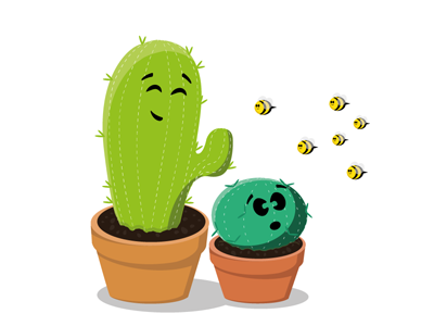 Bees 2d 365 bees cactus illustration graphic