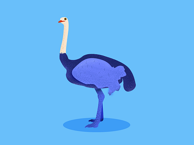 Shot2 adobe animal art enjoying illustration ostrich