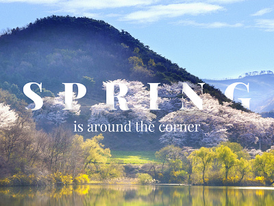 Spring is around the corner... brand colour depth design experiment explore type typography web