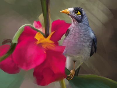 Digital painting bird