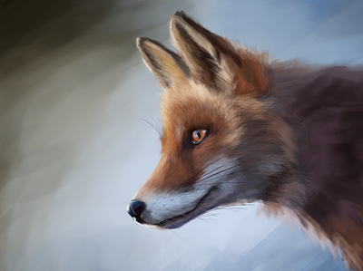 Fox digital painting digital art digital painting fox illustration procreate