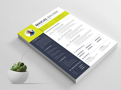 Professional Resume Template cv professional resume resume clean resume cv resume design resume indesign resume infographic resume minimal resume pages resume portfolio resume professional resume word template