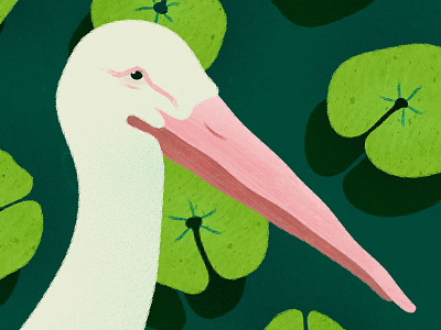 Bird in the lake affinity designer bird birds illustration lake stork