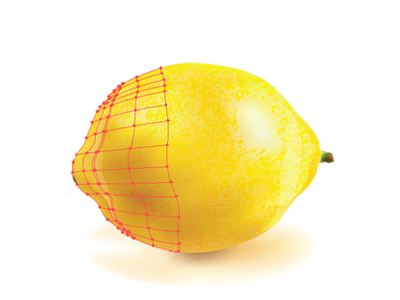 Lemon fresh fruit illustrator juicy lemon shape taste vector yellow