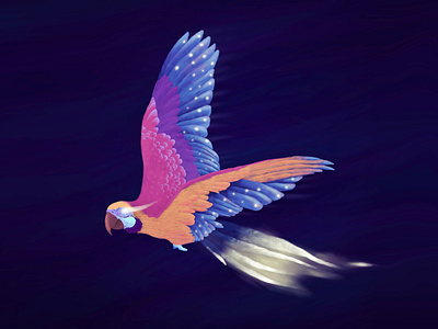 Parrot of light animal digital painting drawing illustration light multicolor parrot
