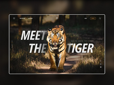 Tigers Forever - Saving India's Tigers animation banner banner design design foundation hero section interaction design organization save the tiger tiger ui uiux webdesign