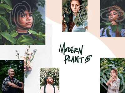 MODERN PLANT // BRAND + WEBSITE