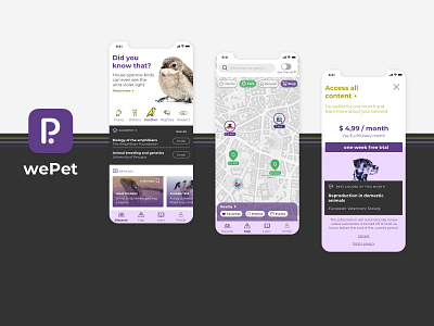 wePet interaction design pets sketch ui ux