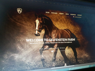 Gelfenstein Farm farm gelfenstein horse webdesign
