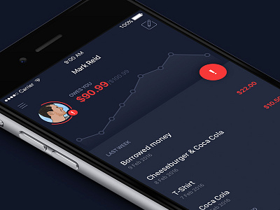 Debtor Profile app debt ios list mobile profile tracker ui ux