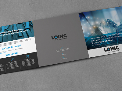 LOINC Brochure brochure design square tri fold tri fold
