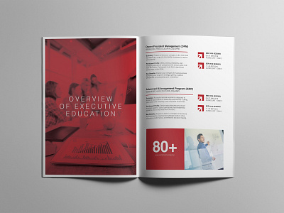 Australian National University Brochure booklet branding brochure design design concept education brochure modern brochure typography youth