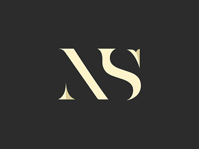 N + S logo logodesign logomark n s