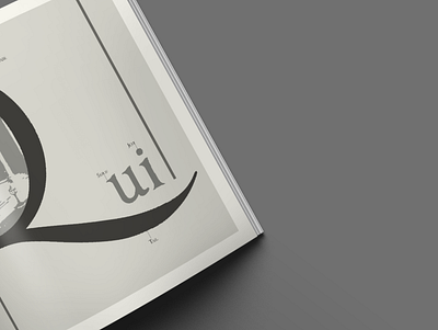 Font Book | A Textual Piece editorial design illustration typography