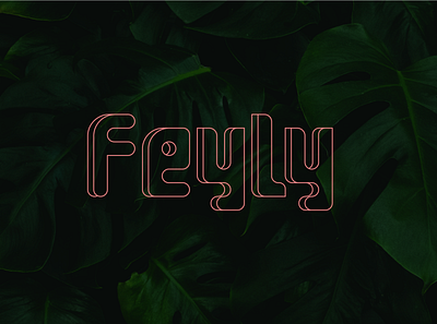 Feyly | A Modular Typeface graphic design typeface typography