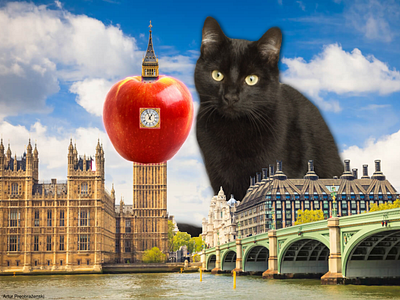 An apple and cat become giants - Elizabeth Tower and big Ben