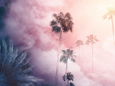 Sky, Meet Palms | Suncoast Series animation art clouds concept design design digital illustration interaction interactiondesign palm trees photo edit photography photoshop pink purple sky tropical ui ui design