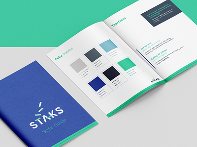 Style Guide app booklet branding design graphic design layout style guide