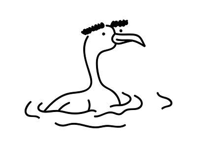 BREAKING: I Saw a Bird with Hairy Eyebrows bird design eyebrows hairy illustration lake lines walk water
