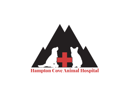 Hamptoncove Animalhospital Logo businesscards design logo logodesign stationery thirtylogos