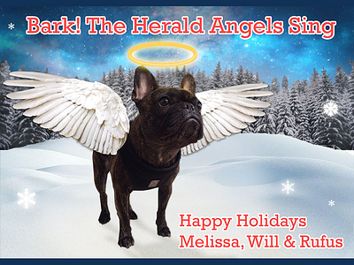 Rufus Holiday Card angel christmas dog dog christmas holiday photoshop snow winter