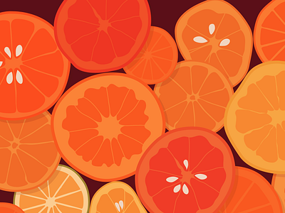 Oranges fruits illustration oranges vector