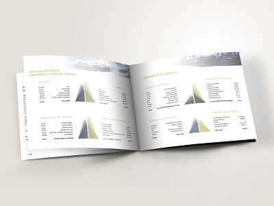 FCVB Annual Report - Infographic branding chart color design gradient graph grid infographic layout mockup print typography