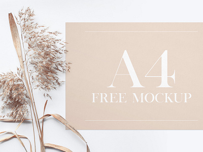 Free Sheet of Paper v02 PSD MockUp in 4k