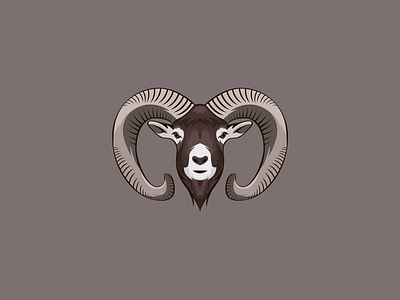 Mouflon. Illustration for hunter