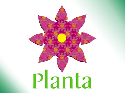 Planta flower illustrator logo pattern pink plant planta