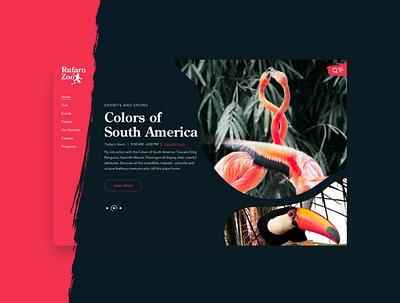 Rufaro Zoo - Pink flamingo southamerica ui uiux uxdesign zoo