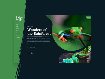 Rufaro Zoo - Green frog rainforest snake ui uiux uxui zoo