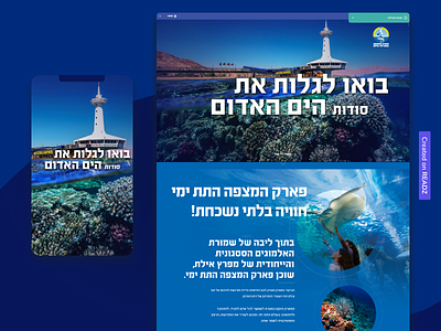 Digital brochure for Coralworld animation brochure digital brochure parallax readz tourism