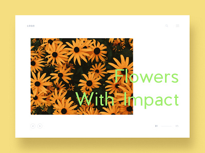 Flowers Web UI Exploration 01