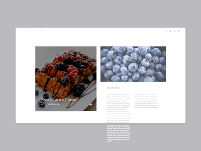 Blog Web Design berry blog blueberry chocolate icecream web webdesign