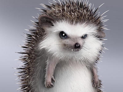 Bad Hedgehog cartoon character design digital 2d illustration