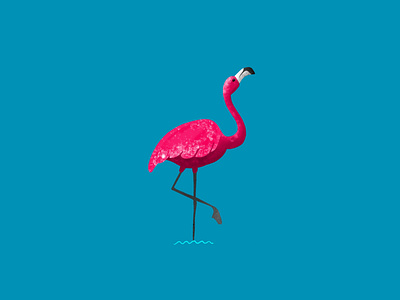 Flamingo animal blue clean contrast design flamingo illustrate illustration illustrator logo simple water