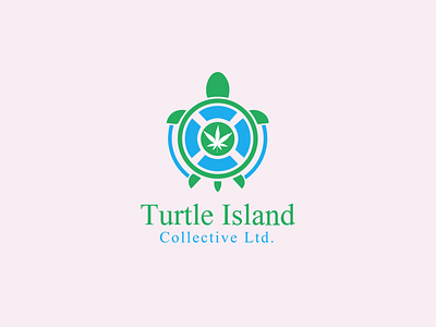 Turtle Island Logo banding logo company logo it point brahmanbaria it point islampur logo design আইটি পয়েন্ট