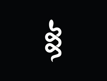 Snake by George Bokhua on Dribbble