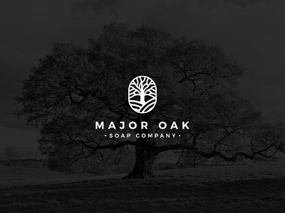 Major OAK brand branding company name flat logo icon logo design minimalist logo oak leaf oak logo oak tree soap logo tree logo