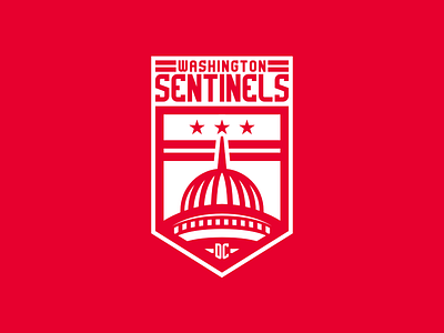 Washington Sentinels branding logo sportsbranding