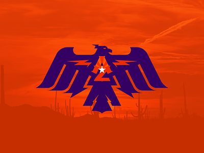 Arizona Thunderbirds branding design iaafproject logo nafaproject sportsbranding