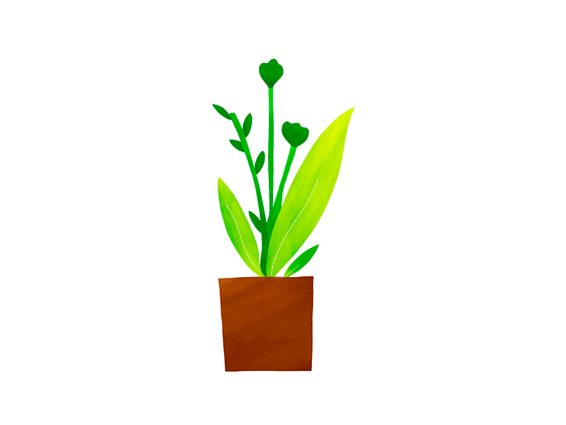 Plants design illustration movement nature